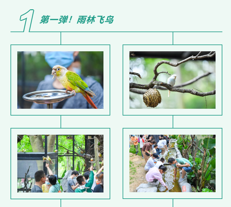 J9����ֱӪ��(�й�)�ٷ���վ