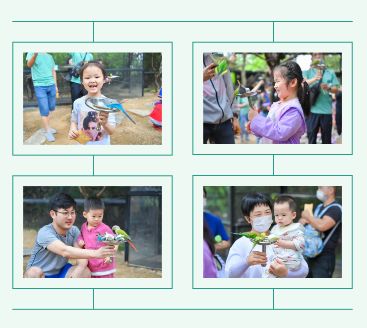 J9����ֱӪ��(�й�)�ٷ���վ