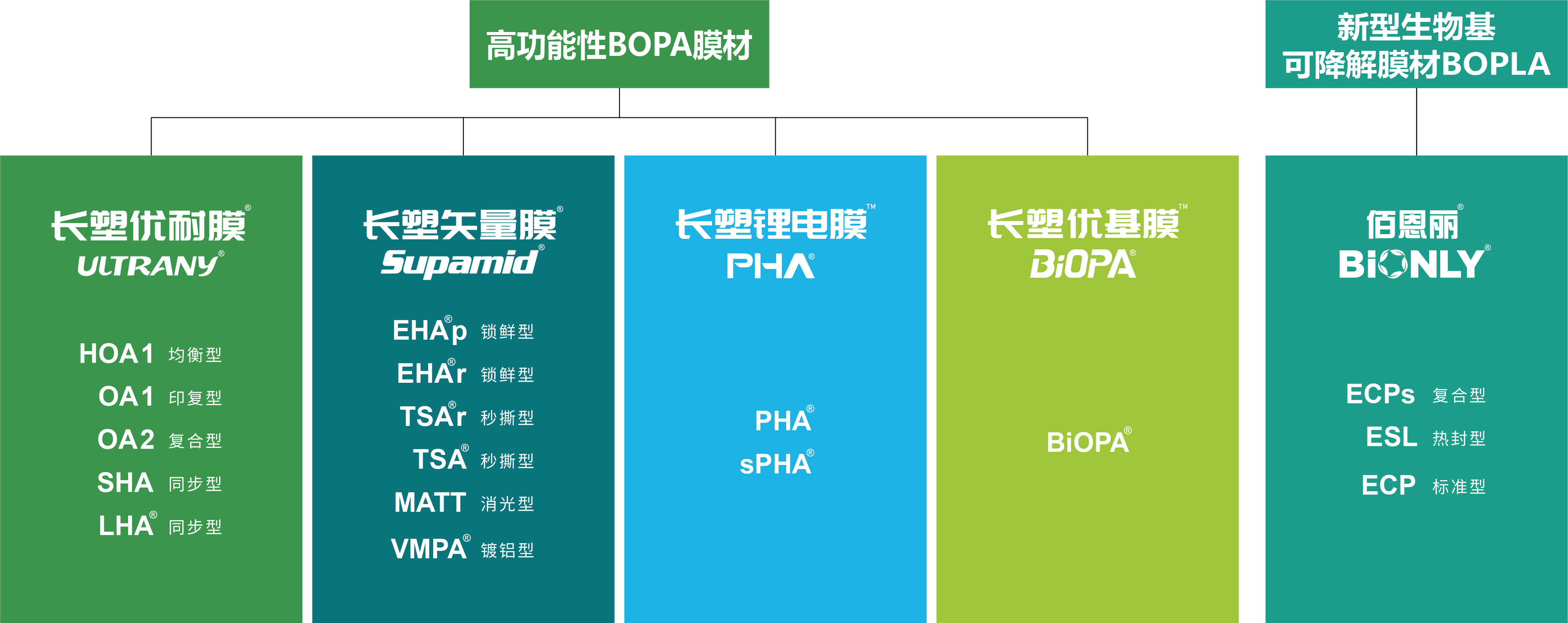 J9����ֱӪ��(�й�)�ٷ���վ