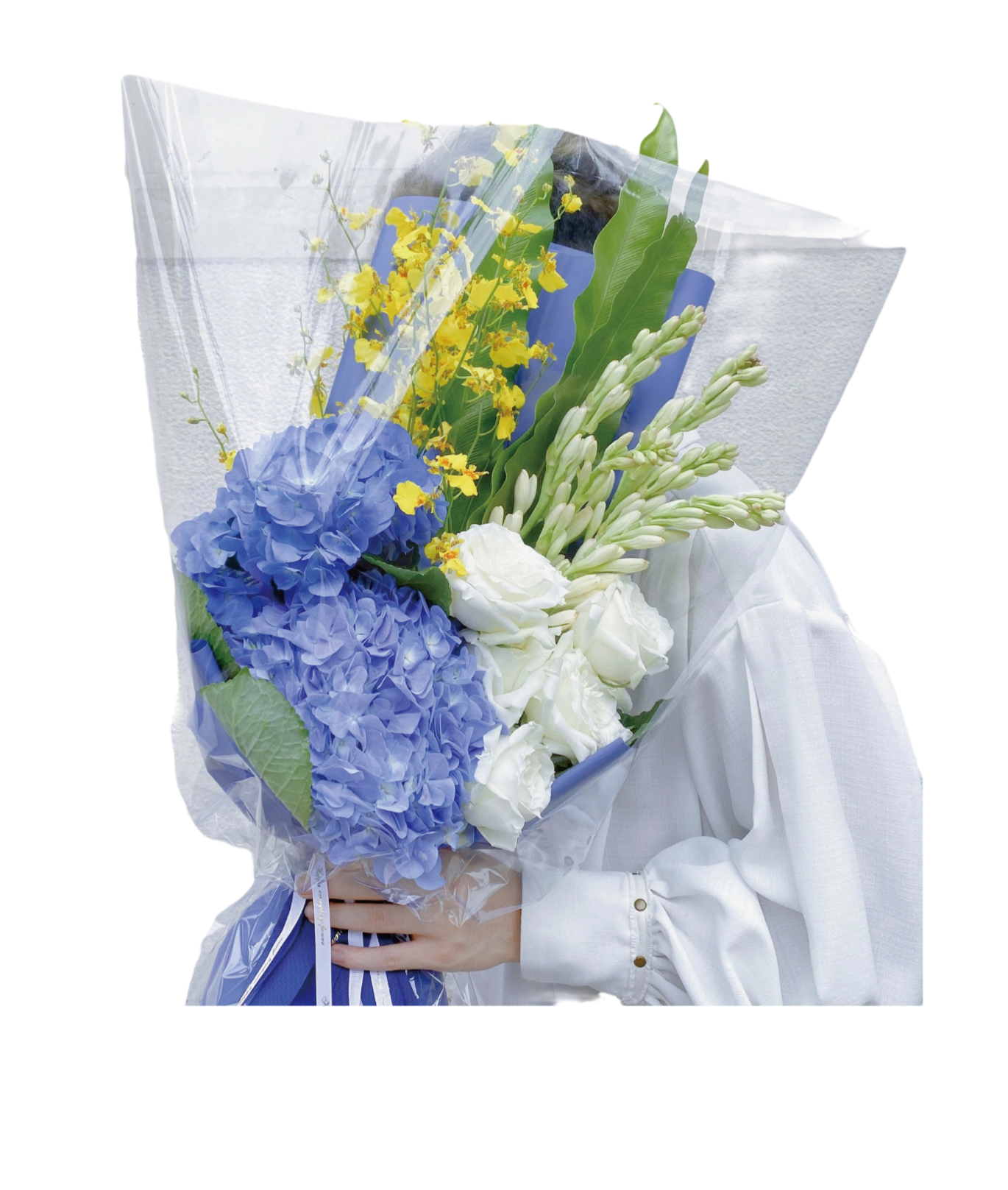 J9����ֱӪ��(�й�)�ٷ���վ