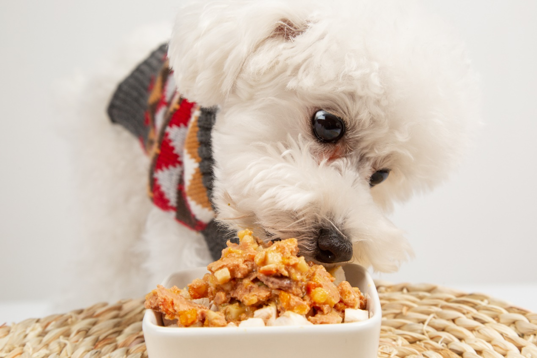 J9����ֱӪ��(�й�)�ٷ���վ