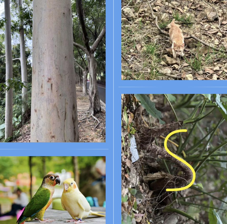 J9����ֱӪ��(�й�)�ٷ���վ